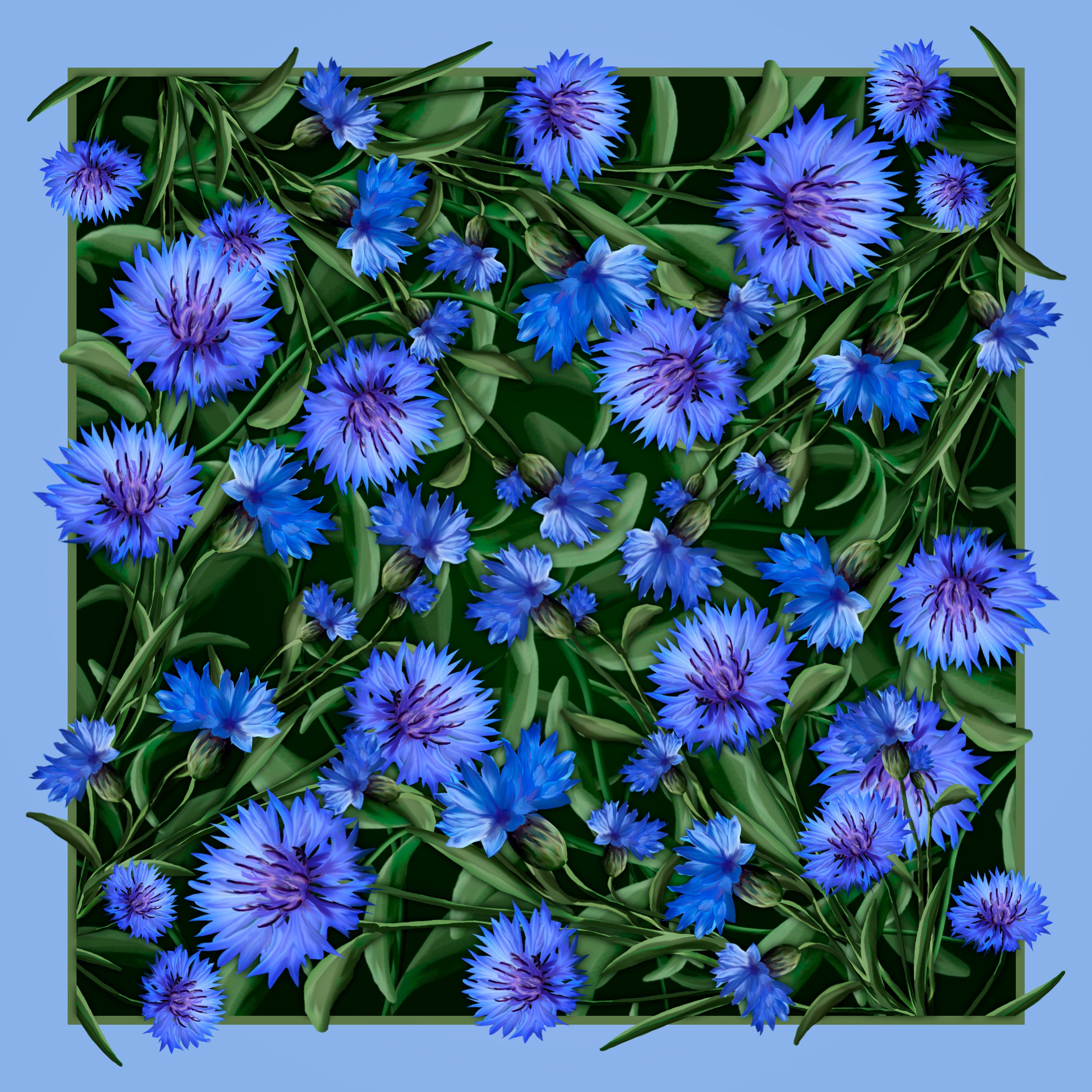 "Cornflowers" Scarf (Wet Silk)